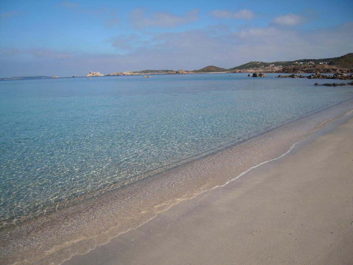 Monolocale In Villa Centrale La Maddalena  Bagian luar foto